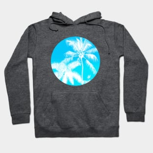 White Palm Trees with a Teal Sky Hoodie